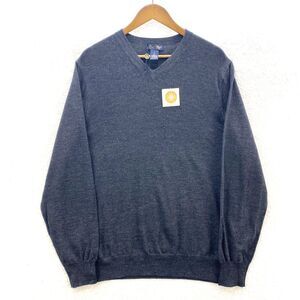 Garret Scott Sweater Men's XL Extra Fine Merino Preppy Wool V-Neck Pullover Top